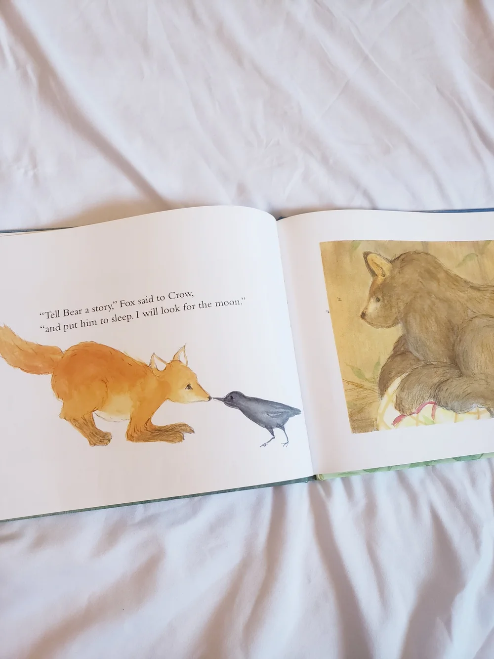 Come Back, Moon Children's Book
